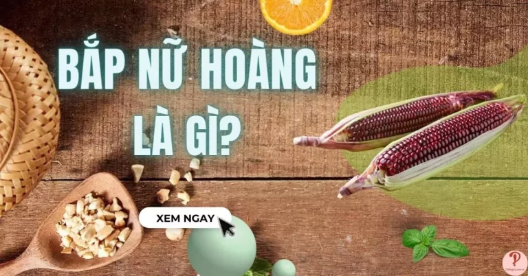 bắp nữ hoàng đỏ