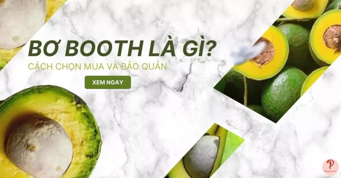 bo-booth-la-gi