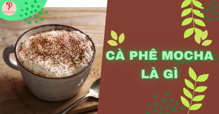 Cà phê Mocha là gì? Cách pha và lưu ý để pha Mocha chuẩn vị