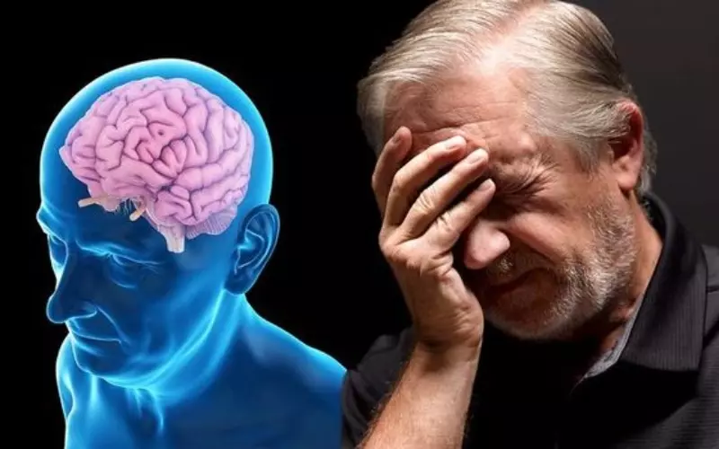 Hạt cà phê xanh giúp giảm nhẹ một số triệu chứng của bệnh Alzheimer