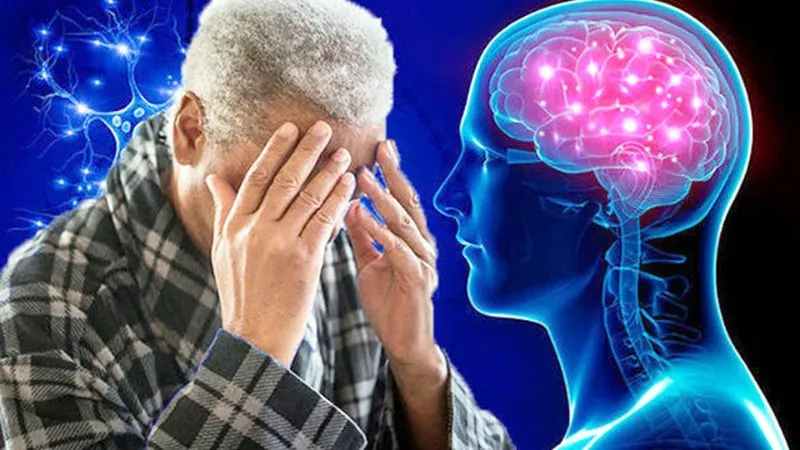 Giúp ngăn chặn quá trình lão hoá não
