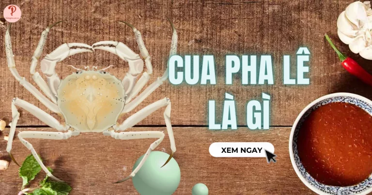 Cua Pha Lê là gì? Làm món gì ngon? Dinh dưỡng từ cua Pha Lê