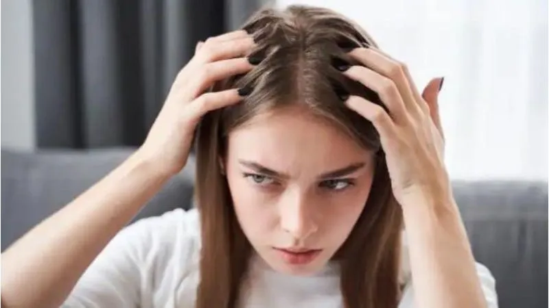 Dầu chuối có tác dụng trị gàu vô cùng hiệu quả, an toàn từ thiên nhiên
