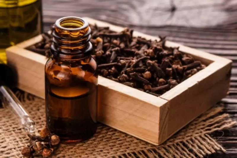 Đinh hương có giá trị dinh dưỡng cao