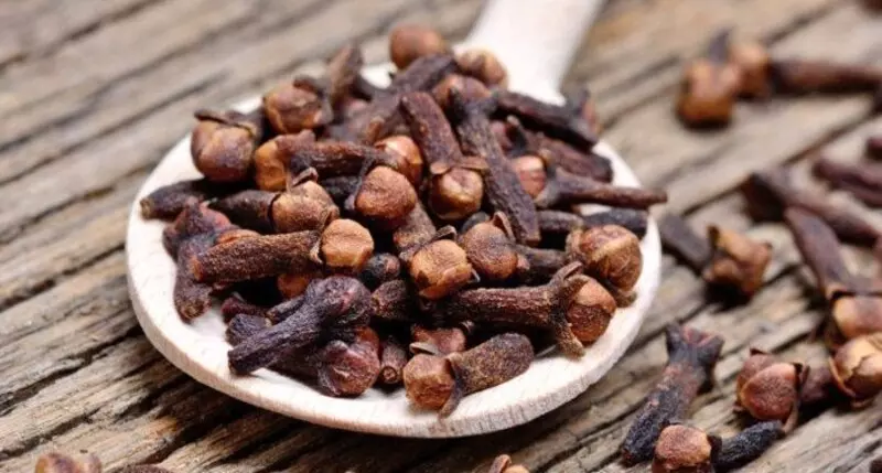 Đinh hương đã được sử dụng cho các đặc tính trị liệu của chúng trong hàng ngàn năm