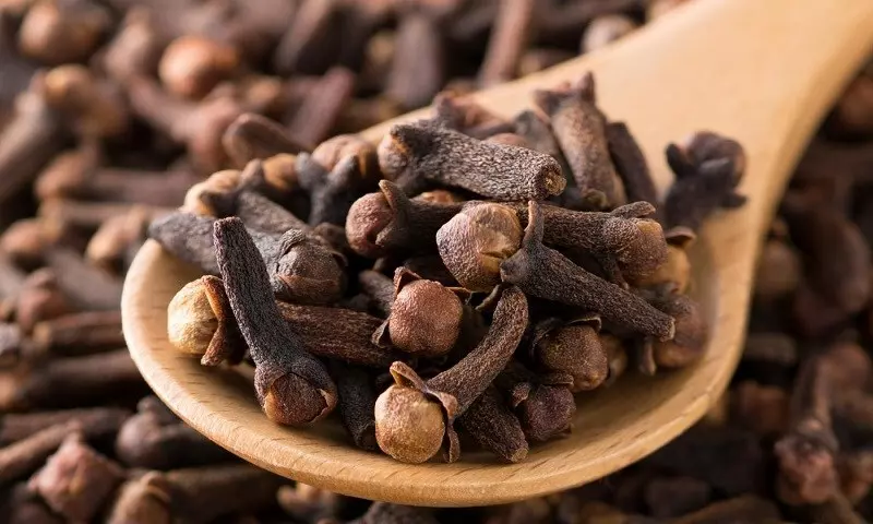 Bạn có thể đến bác sĩ nếu tình trạng nhiễm trùng của bạn nghiêm trọng