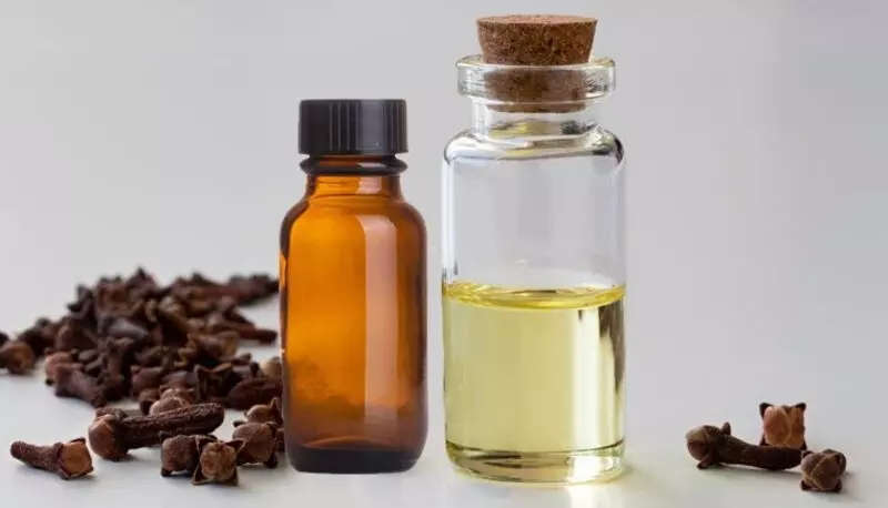 Bằng cách khuyến khích giải phóng các enzym tiêu hóa