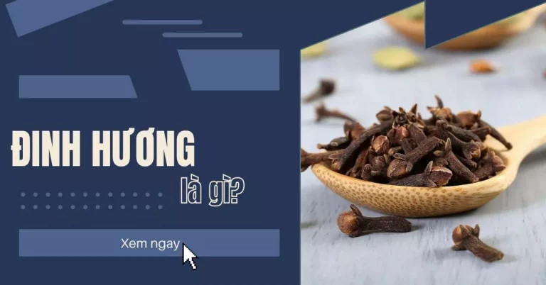 đinh hương là gì
