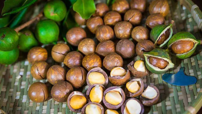 Ăn trực tiếp hạt khi vừa tách vỏ