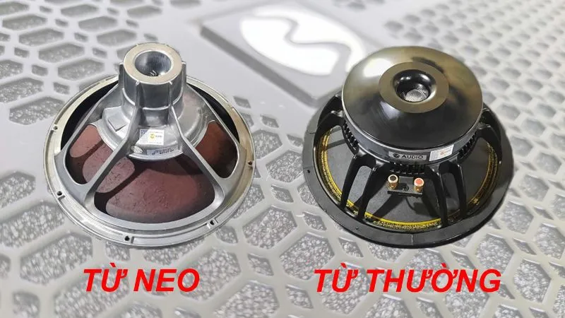 Loa từ Neo có giá cao hơn khoảng 1.5 - 3 lần so với loa thường