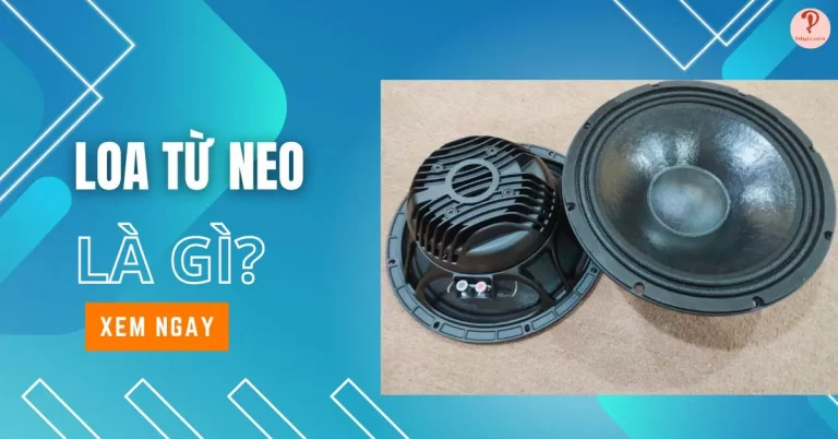 loa từ neo là gì