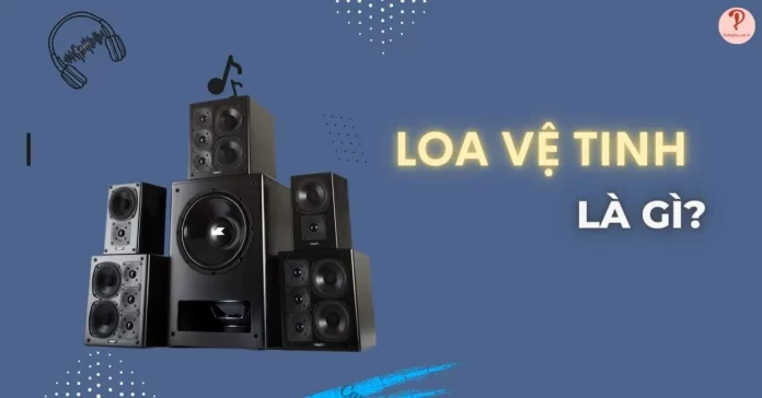 loa vệ tinh là gì