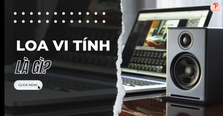 loa vi tính là gì
