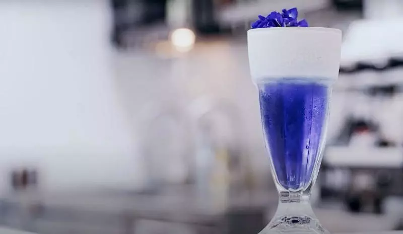 Hoa đậu biếc Machiato