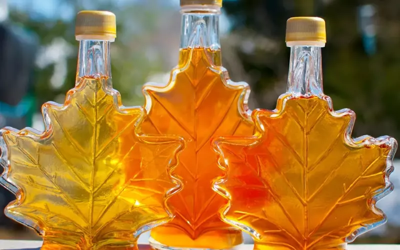 Maple syrup rất được yêu thích