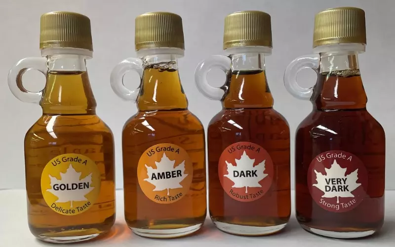 Maple syrup rất được yêu thích