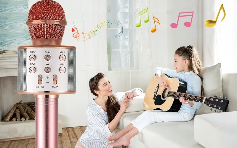 Các loại micro karaoke bluetooth thường giúp người dùng có thể tùy chỉnh Echo và volume