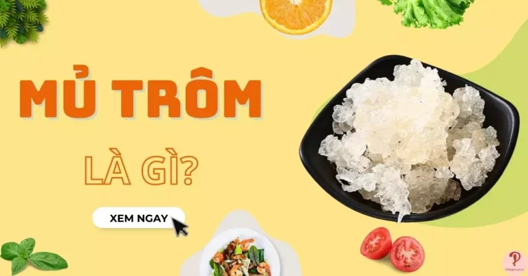 mủ trôm là gì