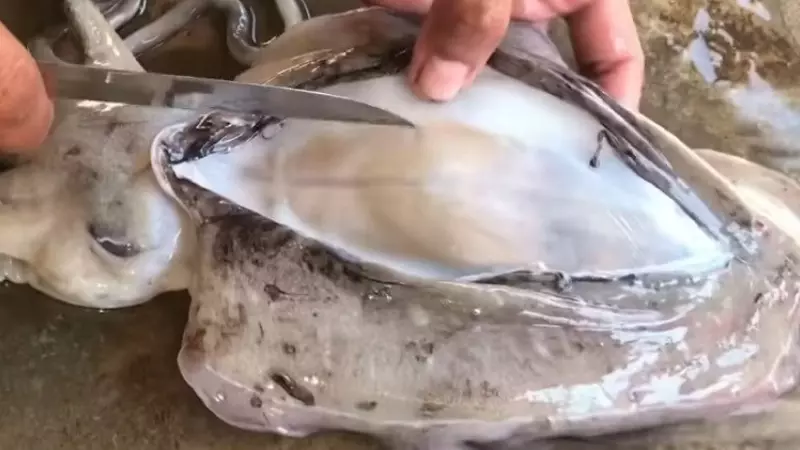Bạn có thể sử dụng nước gừng hoặc rượu trắng để rửa sạch mực và khử mùi tanh trước khi chế biến