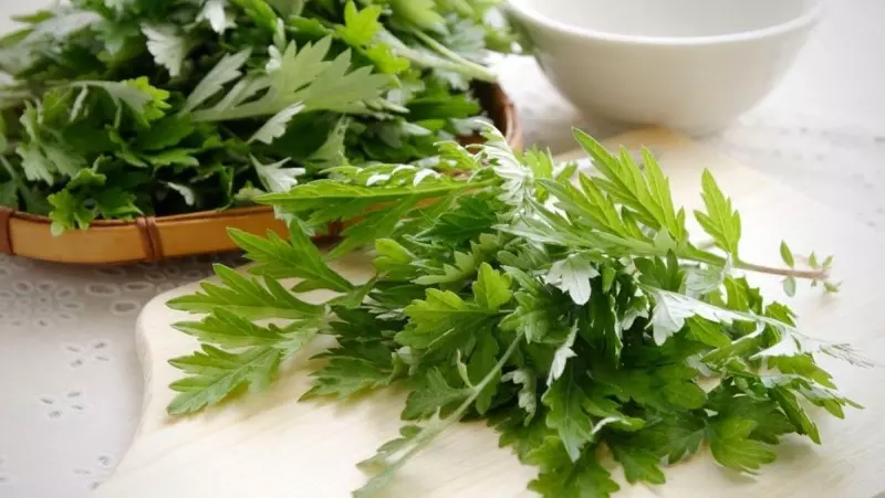 Ngải cứu tên Latin là Artemisia absinthium hay còn gọi là rau ngải, ngải diệp