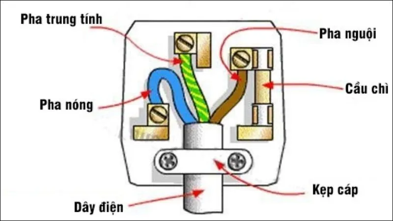 Đầu tiên cần chuẩn bị bản vẽ sơ đồ nguyên lý cách đánh dấu ổ cắm điện 3 chấu và công tắc