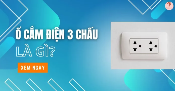 o-cam-dien-3-chau-la-gi
