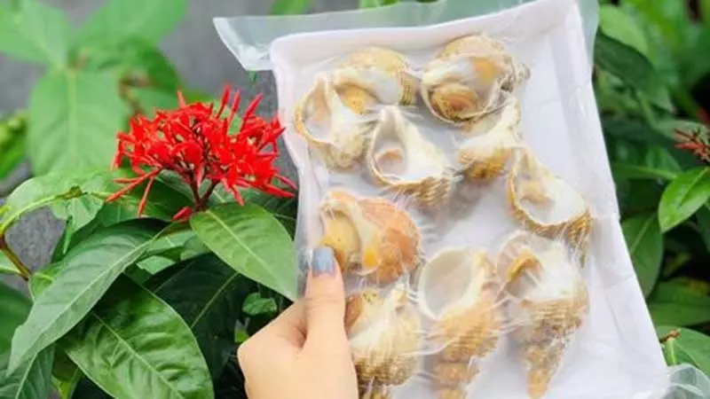 Có thể rã đông tự nhiên ốc trong khoảng 10 – 15 phút