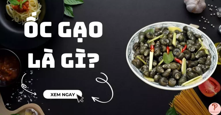 ốc gạo là gì