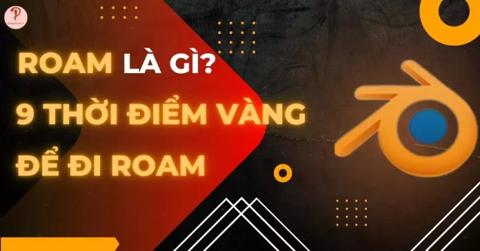 roam là gì