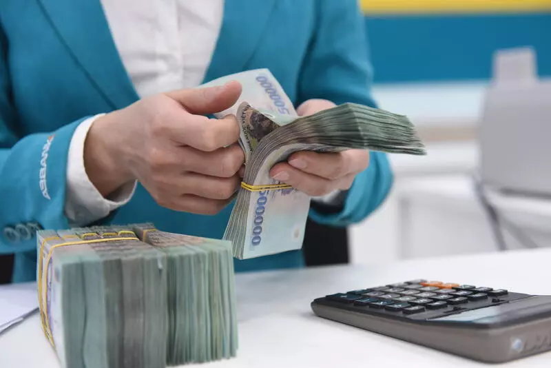 Pháp luật Việt Nam không yêu cầu công ty 100% vốn Việt Nam phải cung cấp bằng chứng về vốn điều lệ