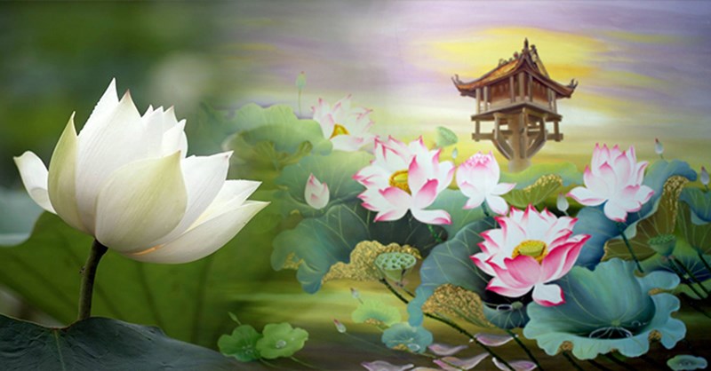 Hoa sen trong tình yêu