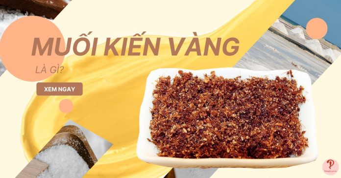 Muối kiến vàng Gia Lai là gì? Mua ở đâu rẻ và chất lượng tốt