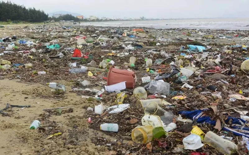 Rác thải cũng là tác nhân làm ô nhiễm môi trường