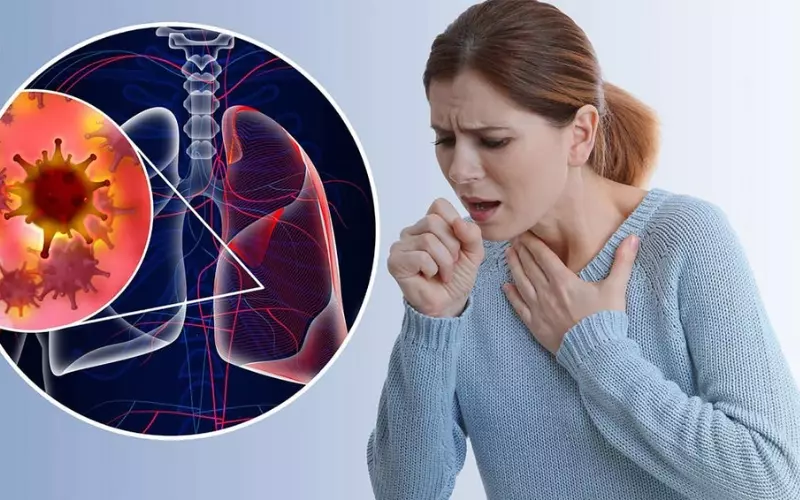 Bụi mịn sẽ bám, tích tụ vào màng phổi và làm ảnh hưởng đến phổi