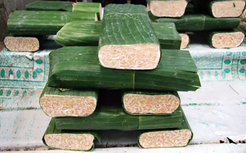 Tempeh (Tem-pêi) là một món ăn truyền thống của Indonesia