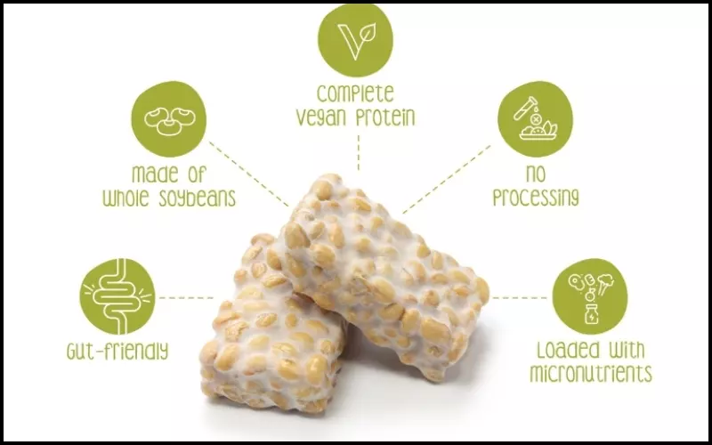 Tempeh có tác động đến hệ khuẩn đường ruột