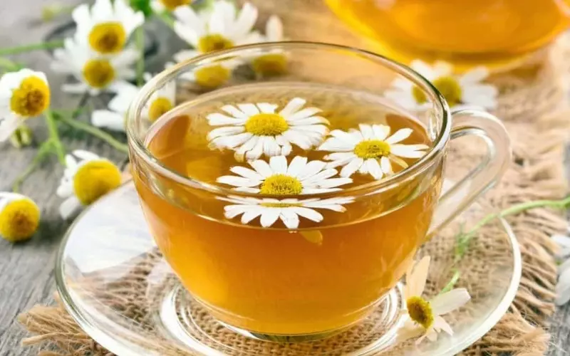 Trà hoa cúc được nhiều người yêu thích bởi hương vị dễ uống, thơm ngon