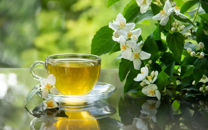Hoa nhài có mùi thơm dịu nhẹ, khi trở thành thức uống sẽ có hương vị hơi chát