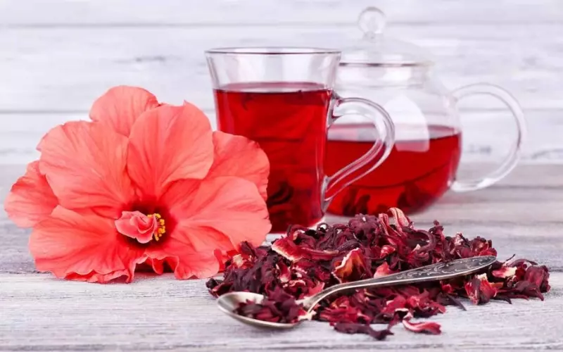 Hoa atiso đỏ vốn có công dụng hạ huyết áp