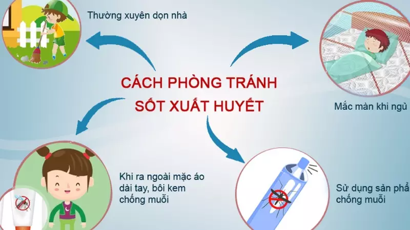 Cách phòng ngừa sốt xuất huyết ở người lớn và trẻ nhỏ hiệu
