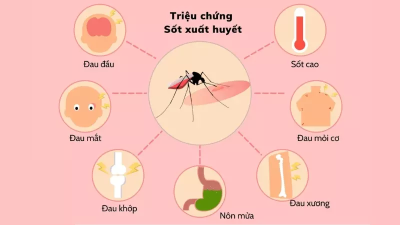 Các triệu chứng cảnh báo nhiễm bệnh sốt xuất huyết thường gặp ở người bị lần đầu tiên