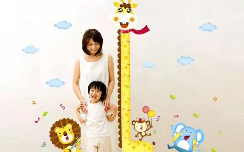 Bí đao giúp thúc đẩy sự phát triển của xương