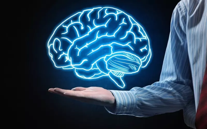 Chất sắt trong bí đao rất tốt cho não bộ