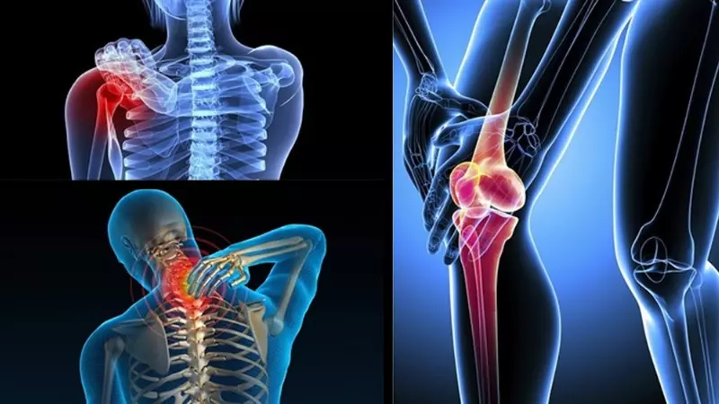 Bí ngòi hỗ trợ sức khỏe xương chắc khỏe