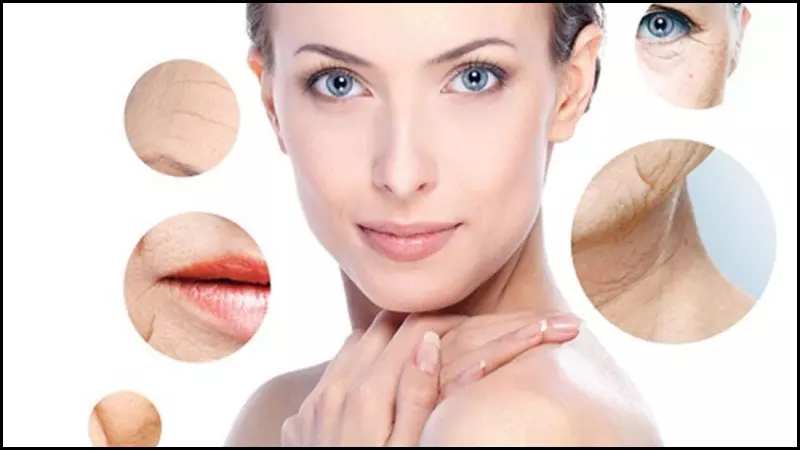 Bí ngòi chứa nhiều chất chống oxy hóa