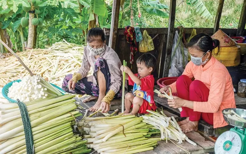 Các thành phần trong cây bồn bồn còn có giá trị về y học