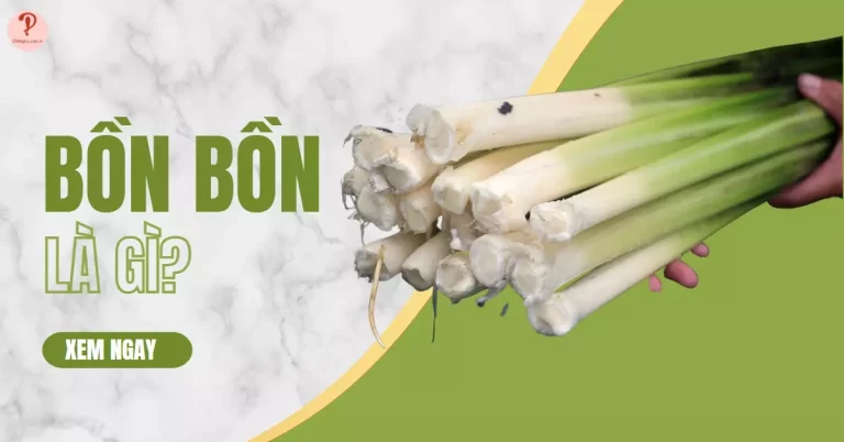 bồn bồn là gì?