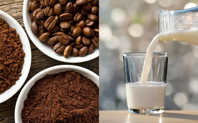 Nguyên liệu làm cà phê Latte