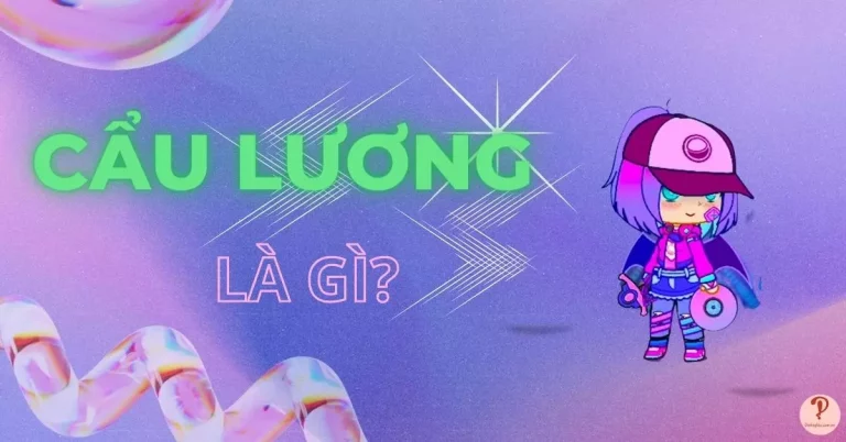 cẩu lương là gì