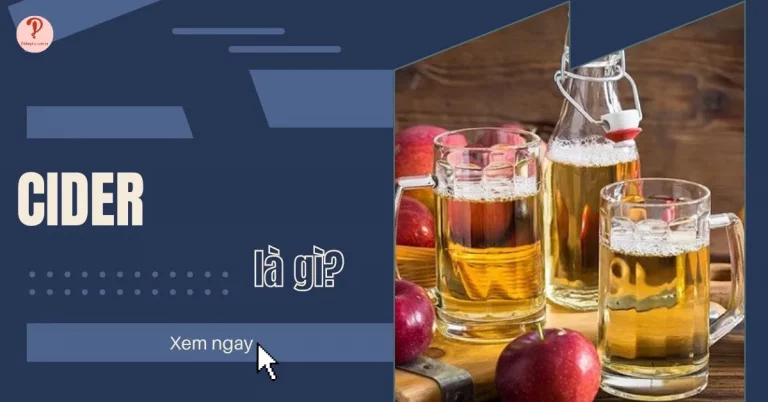cider là gì